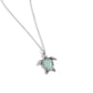 Turtle Tourist - Green